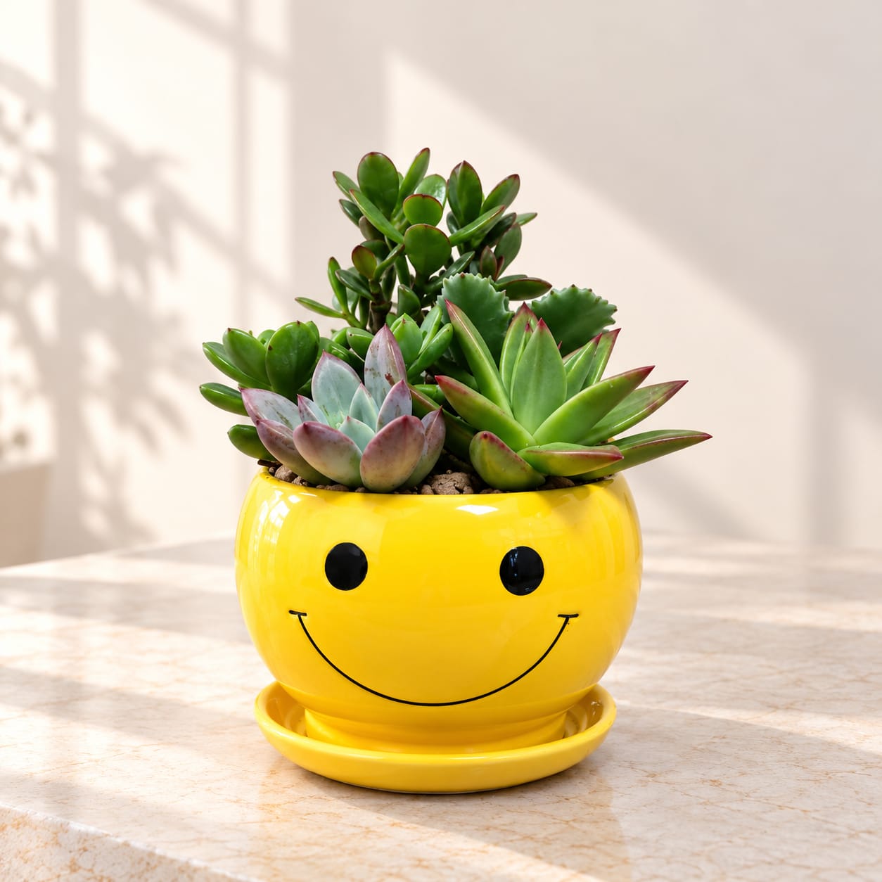 Succulent arrangement in a yellow smiley-face pot with saucer