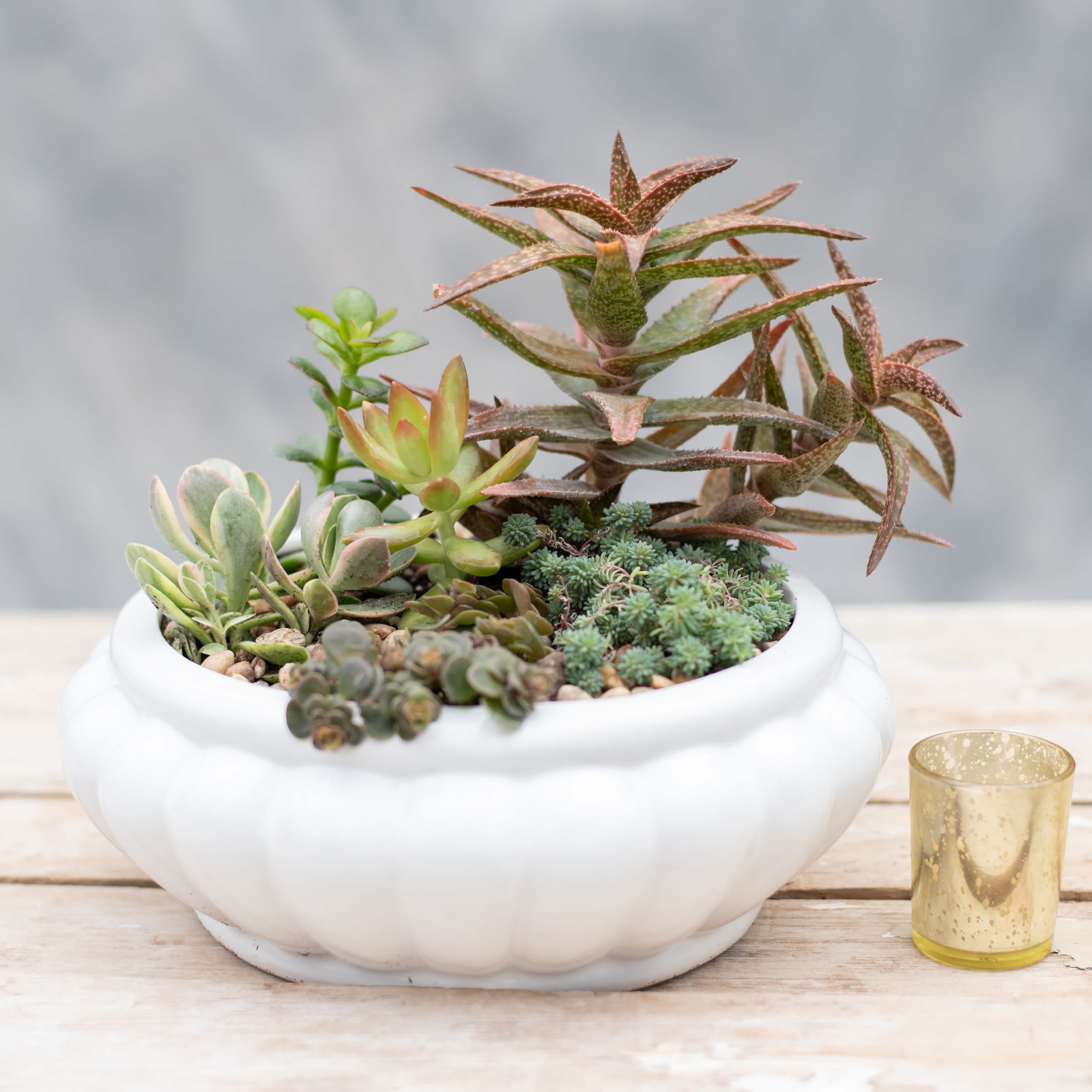 Succulent arrangement in a white ceramic bowl with a small gold candle holder beside it