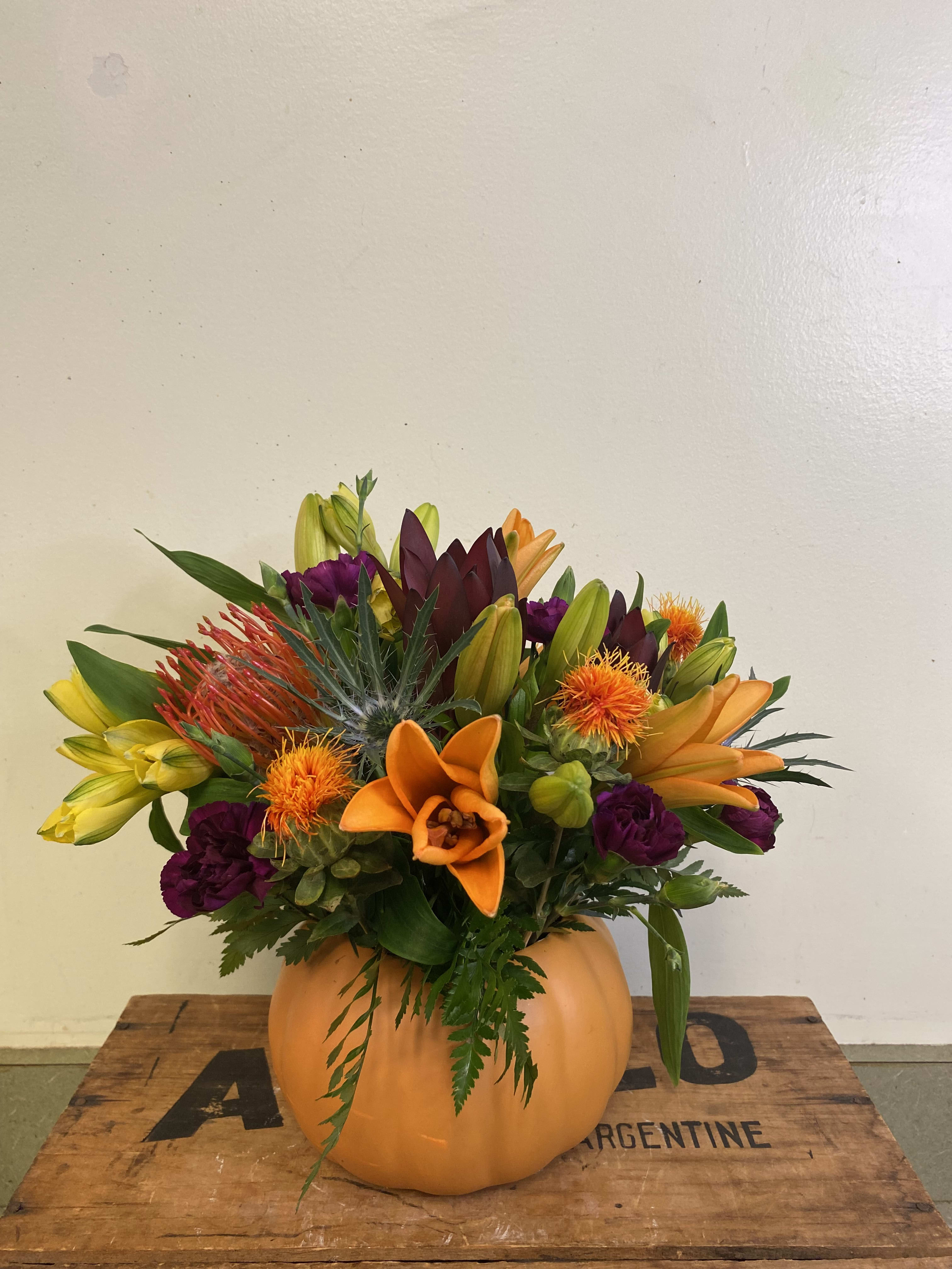 Pumpkin Spice - A vibrant seasonal selection presented in a classic orange pumpkin. Flowers include alstroemeria, pin cushion protea, Asiatic lilies,  carnations, and thistle.