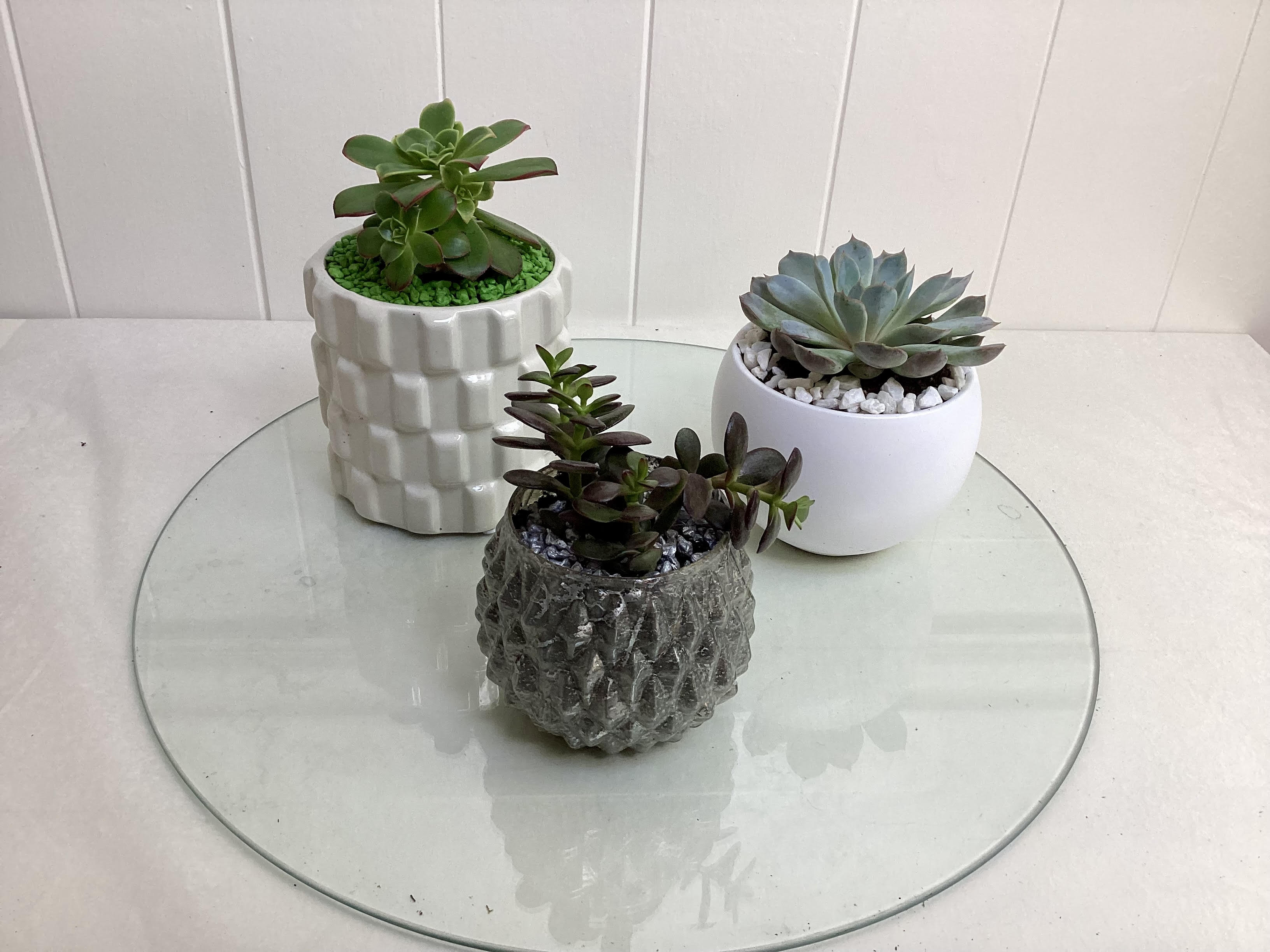 Three small succulent plants in decorative pots on a round glass table.