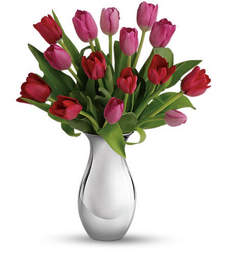Pink and red tulips arranged in a silver vase