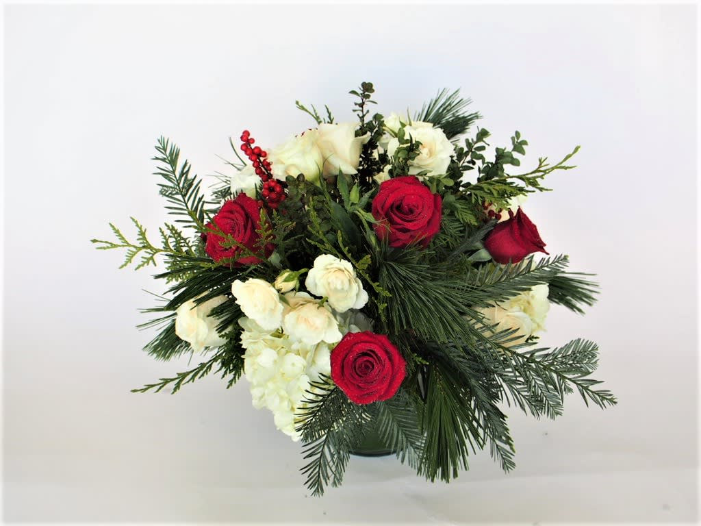 Bouquet of red and white roses with evergreen foliage