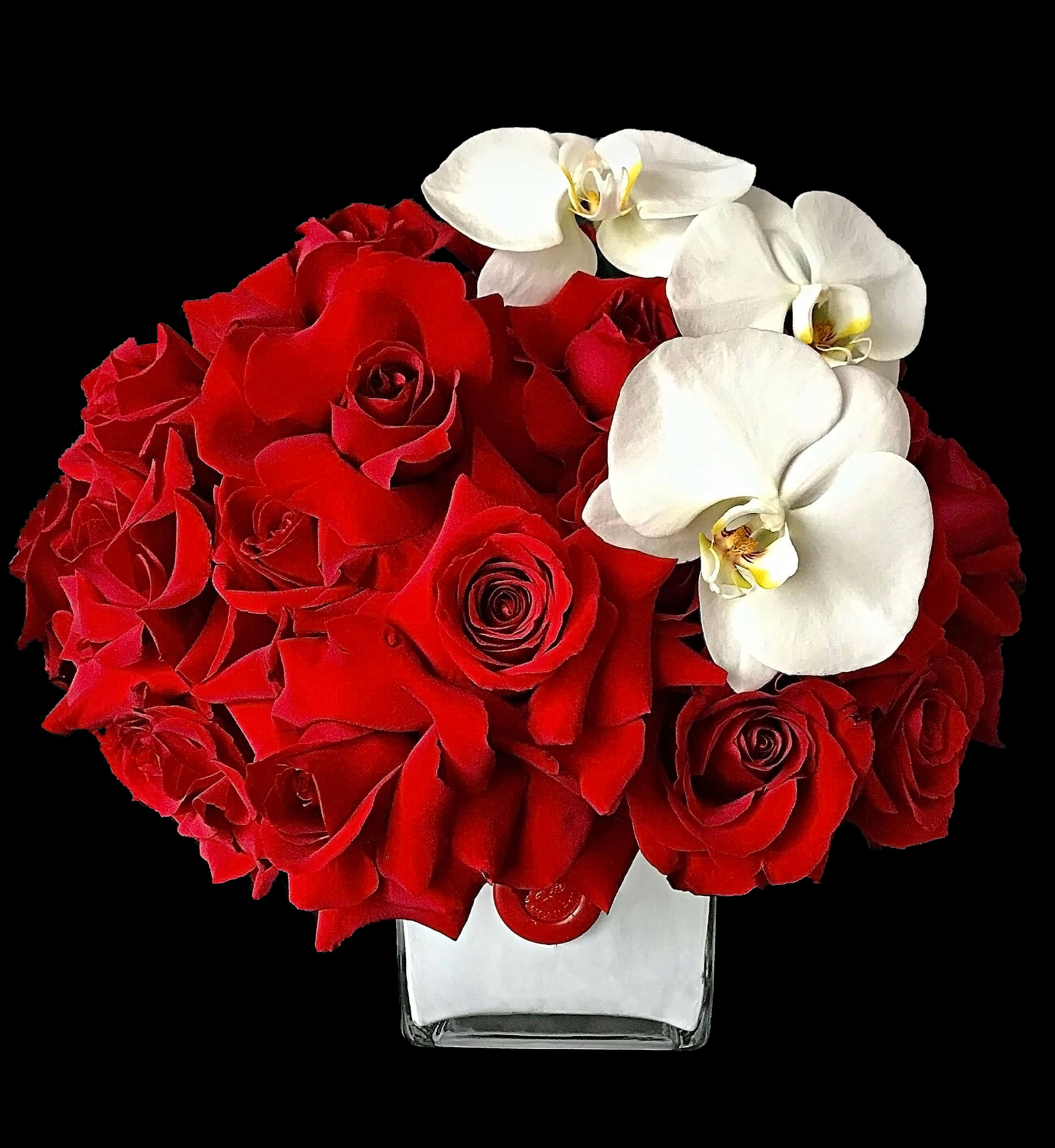 Red roses with white orchids in a clear square vase