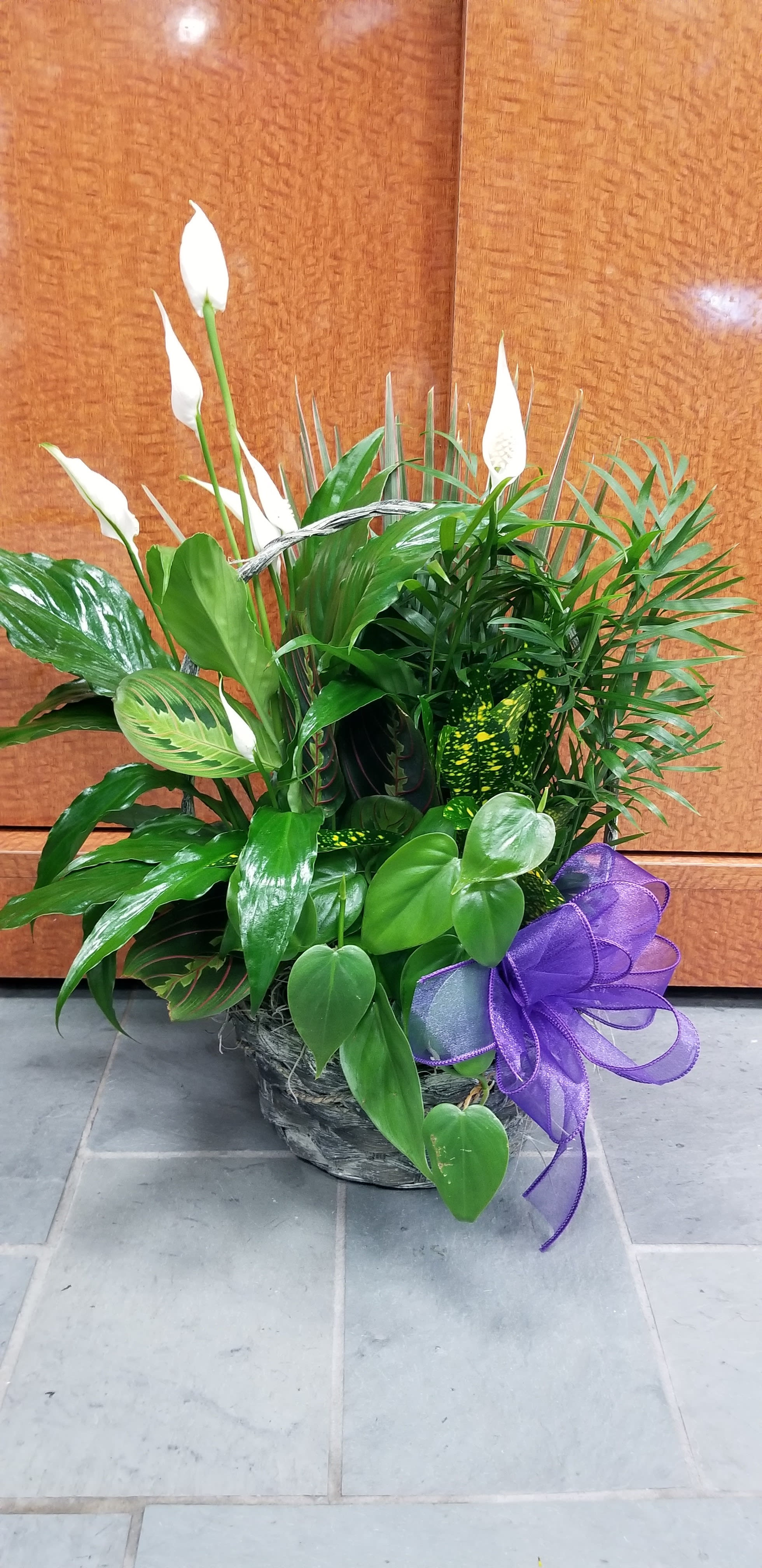 Potted green plant arrangement with white peace lilies and a purple ribbon