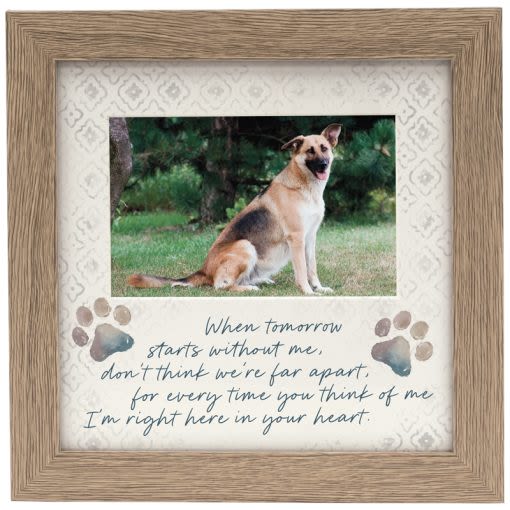 Framed memorial plaque with a dog photo and paw prints