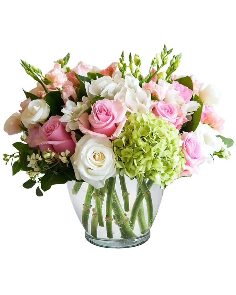 Pink and white roses with green hydrangea in a glass vase