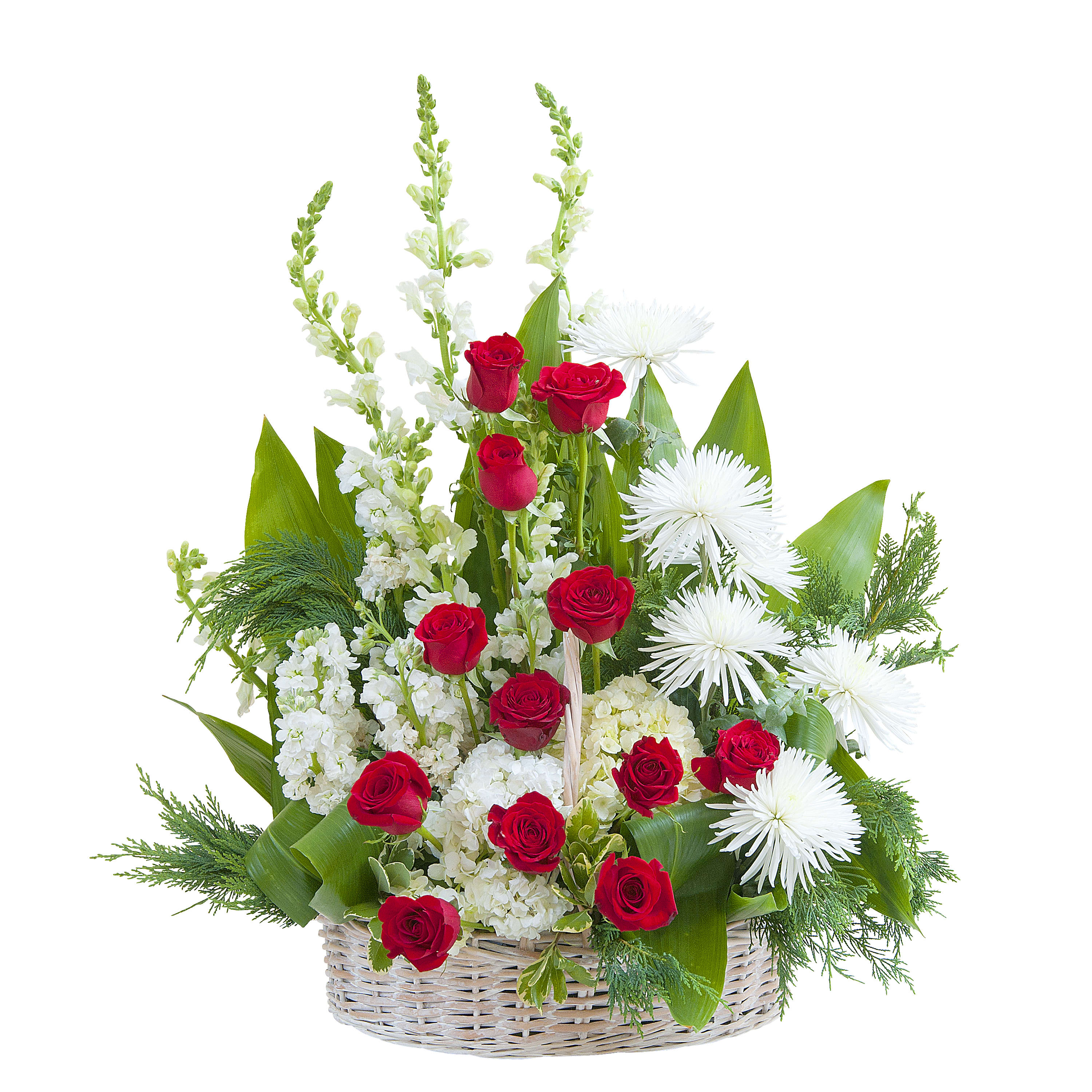 Enduring Strength Basket with Cedar TMF-738	 - A basket filled with a variety of red and white flowers accented with cedar.	Approximately 20" wide by 28" high