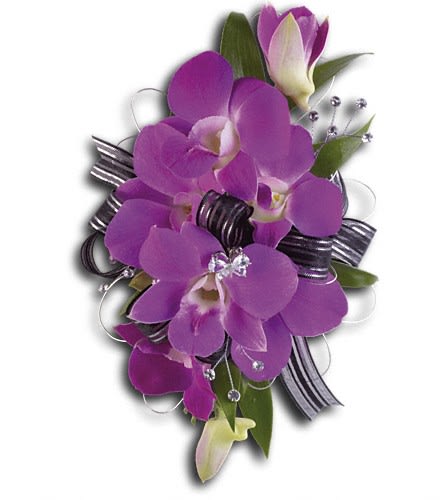 Purple orchid corsage with striped ribbon and silver accents