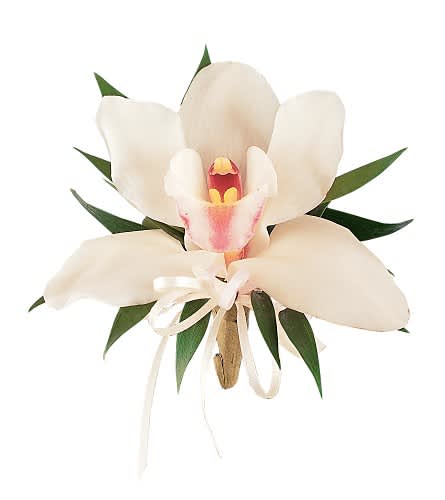 White orchid corsage with a ribbon tie and green leaves