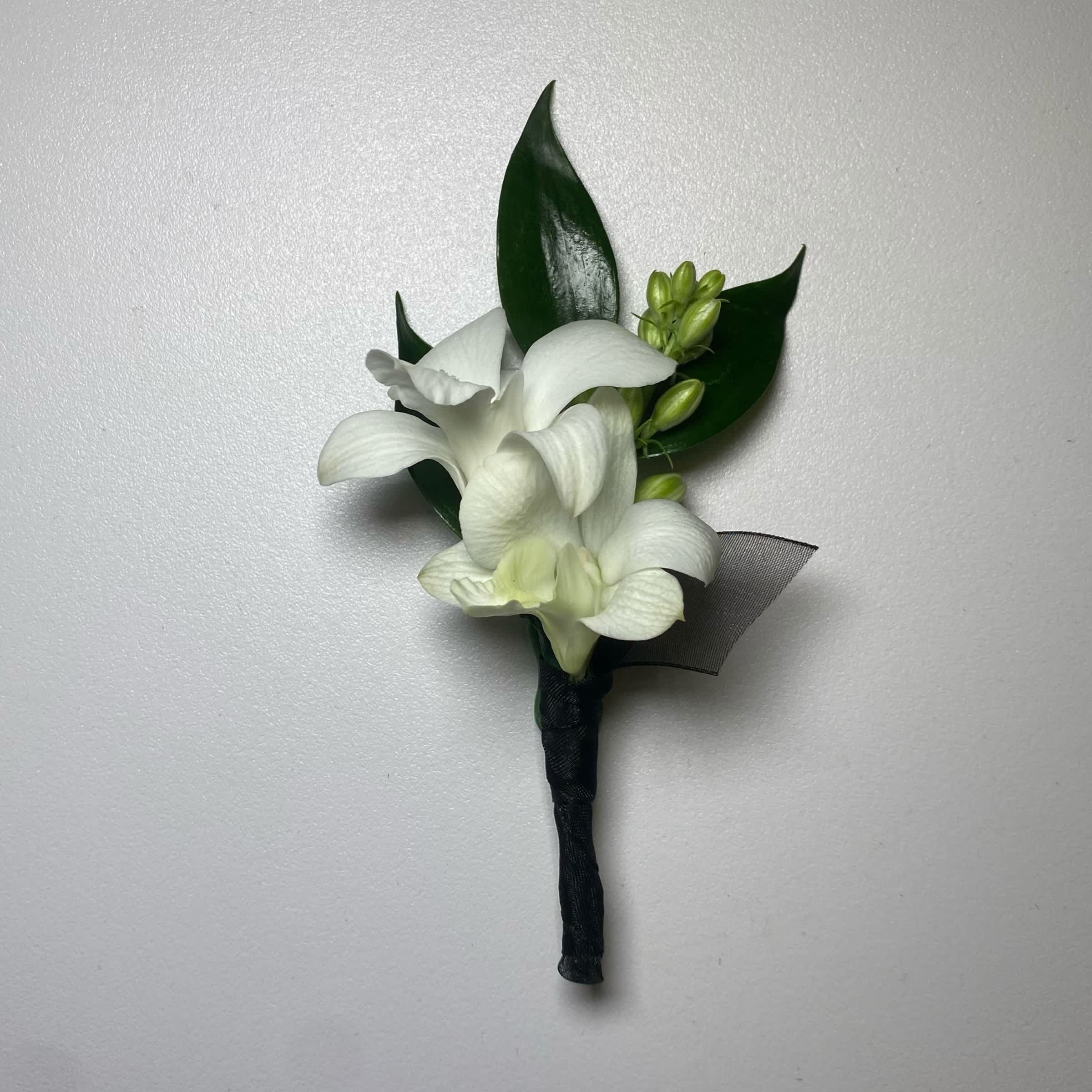 White orchid boutonniere with dark green leaves and black ribbon