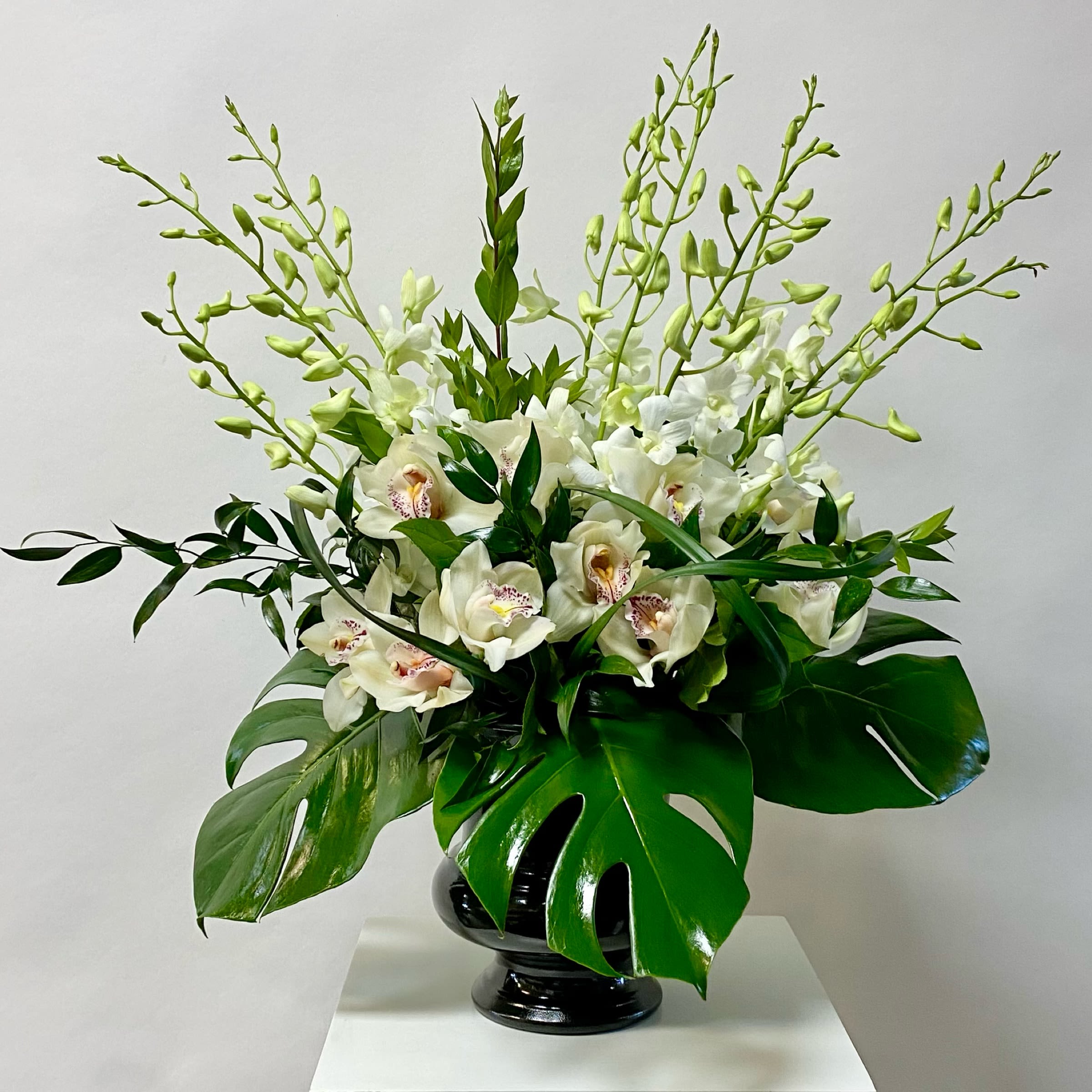 White orchids arranged in a black vase with large glossy leaves