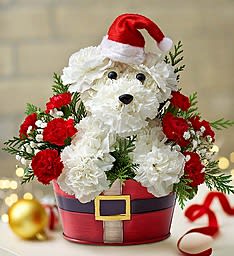 SANTA PAWS - CARNATION PUPPY