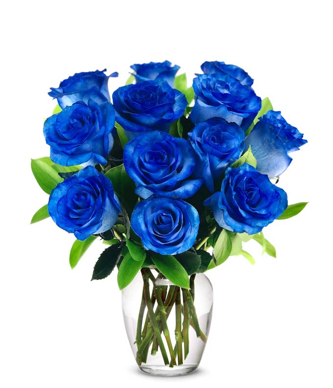 Arrangement of vivid blue roses in a clear glass vase.