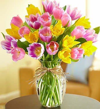 TULIPS FOR MOM - 20 TULIPS 30 TULIPS