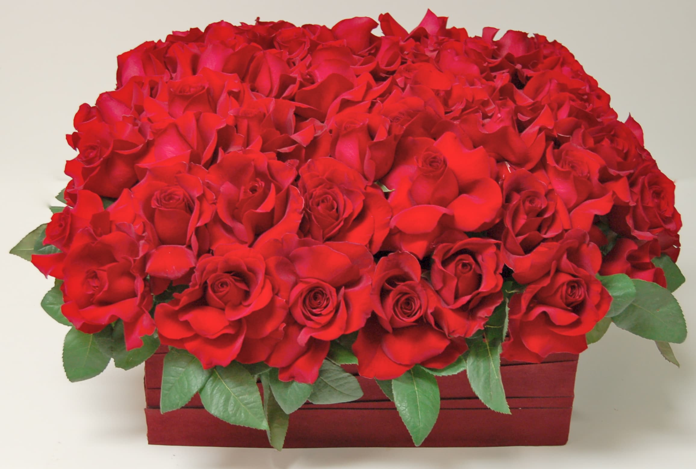 Rose Box - Beautiful Red Roses perfect for your loved one. In a low square box. Approx. 8"Tall X 20" Wide