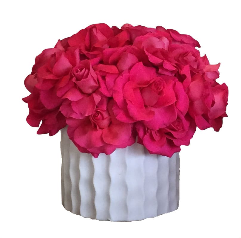 Pink Lady - Pave of hand flexed hot Pink Roses in an art decor white ceramic rippled vase. Arrangement is approximately 13 x 13 inches in size.