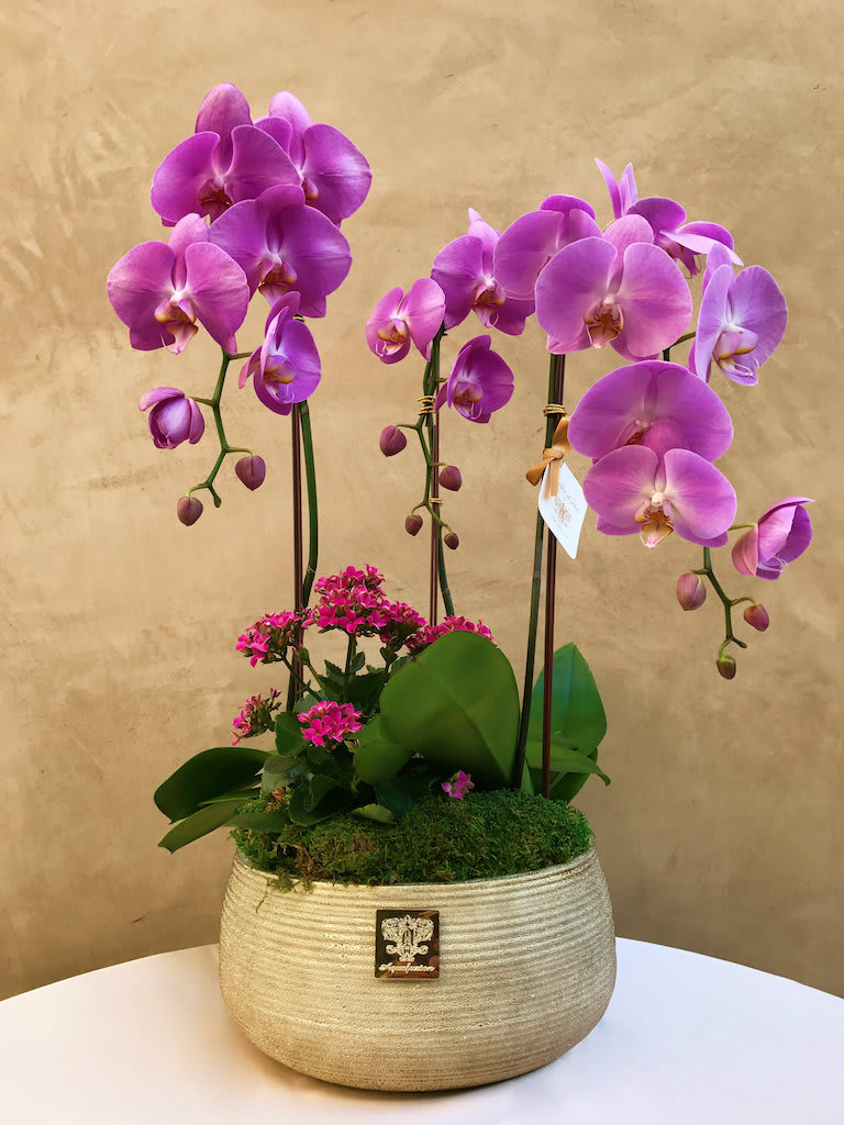 Purple orchids arranged in a woven planter with pink blooms