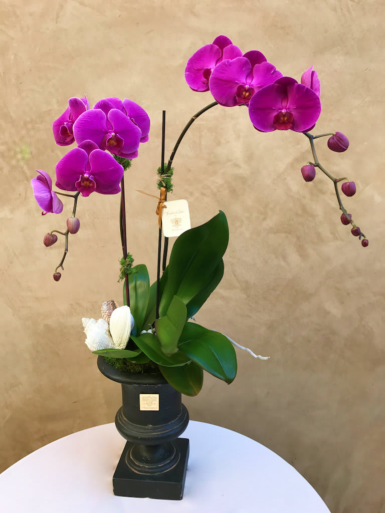Purple orchid arrangement in a black pedestal vase