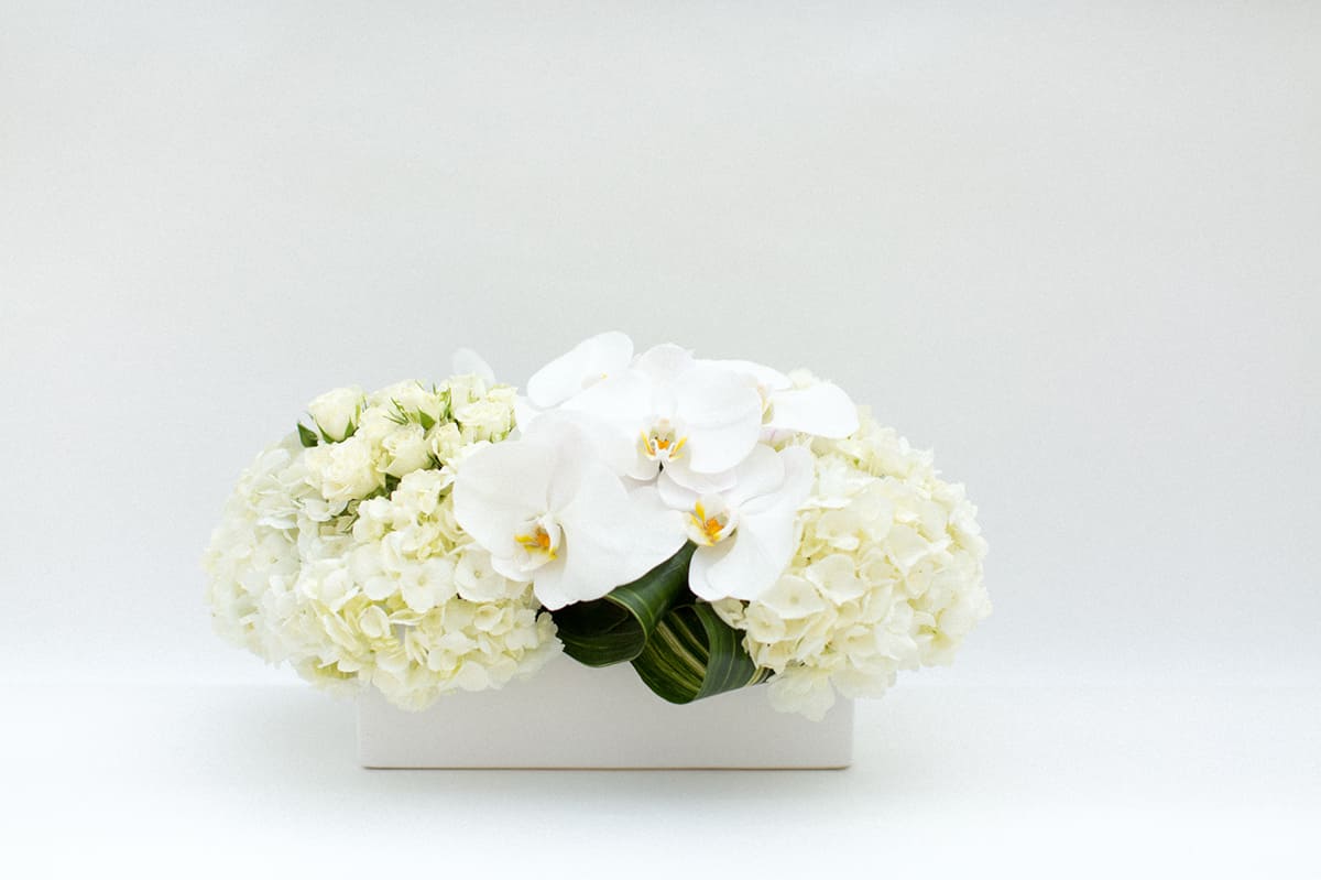 White orchid and hydrangea arrangement in a rectangular white vase