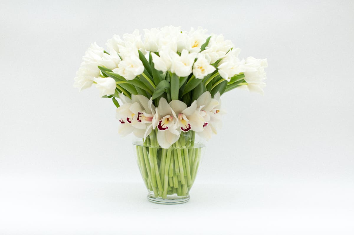 White tulips and orchids arranged in a clear glass vase