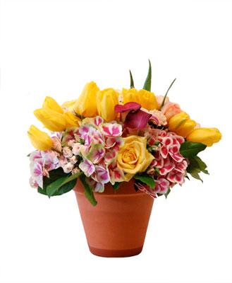 Hot Summer Flower Pot  - A mix of yellow tulips, pink calla lilies and yellow roses in a cute pot.