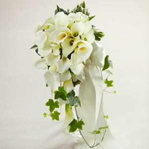 The White Chapel Bouquet - The FTD® White Chapel™ Bouquet is a stunning way to make an entrance on your wedding day. Gorgeous open cut white calla lilies and white mini calla lilies take centerstage accented with variegated ivy and a sugar pearl circle bouquet buckle. With the stems wrapped in a an ivory satin ribbon to finish the look this bouquet is both dramatic and demure.