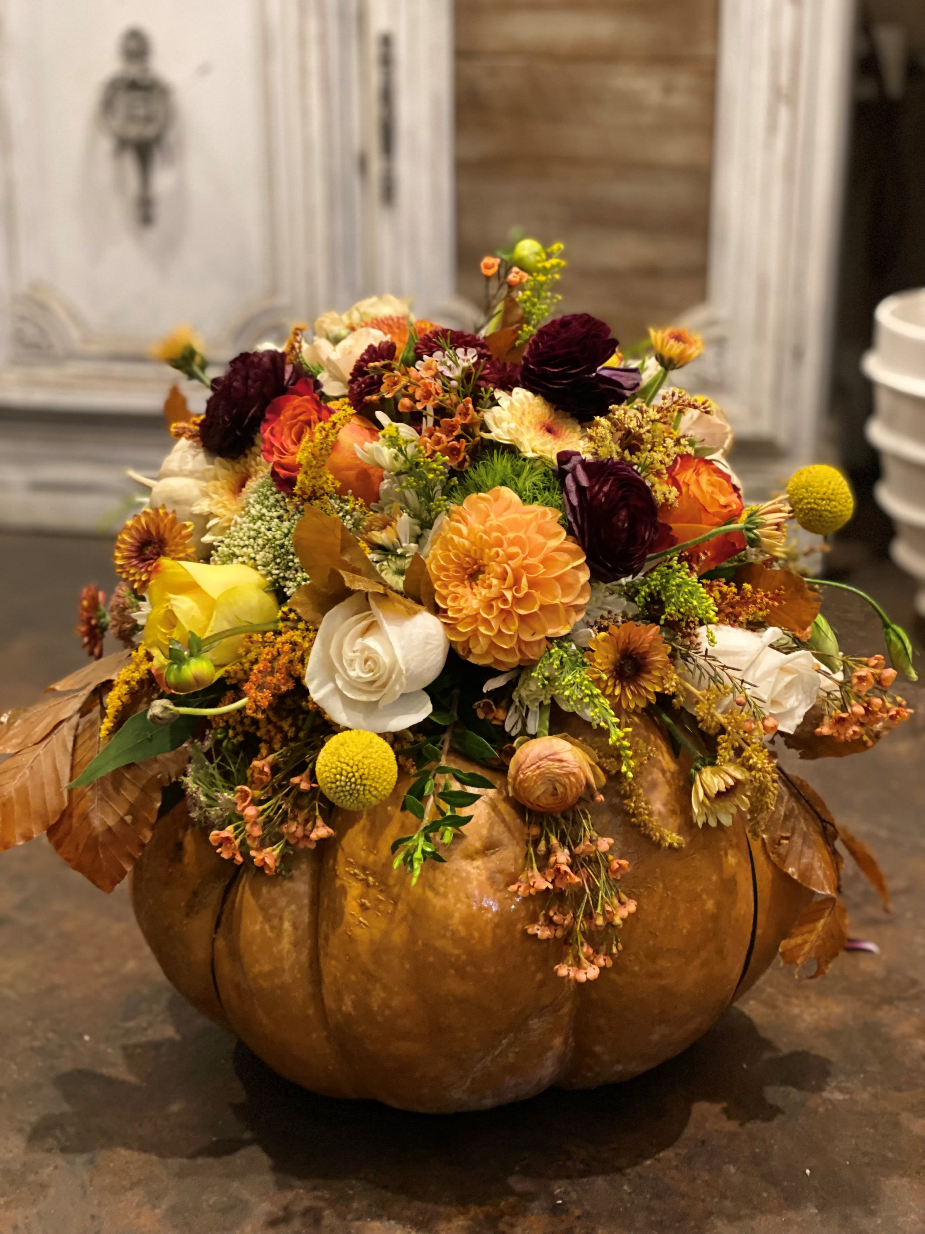 Fairytale Pumpkin - Dahlias, Ranunculus, Roses,Fall mums, and a mixture of other fall flowers completed with Fall Filler come together to create this beautiful mystic look Designed ontop of a fresh big Pumpkin.