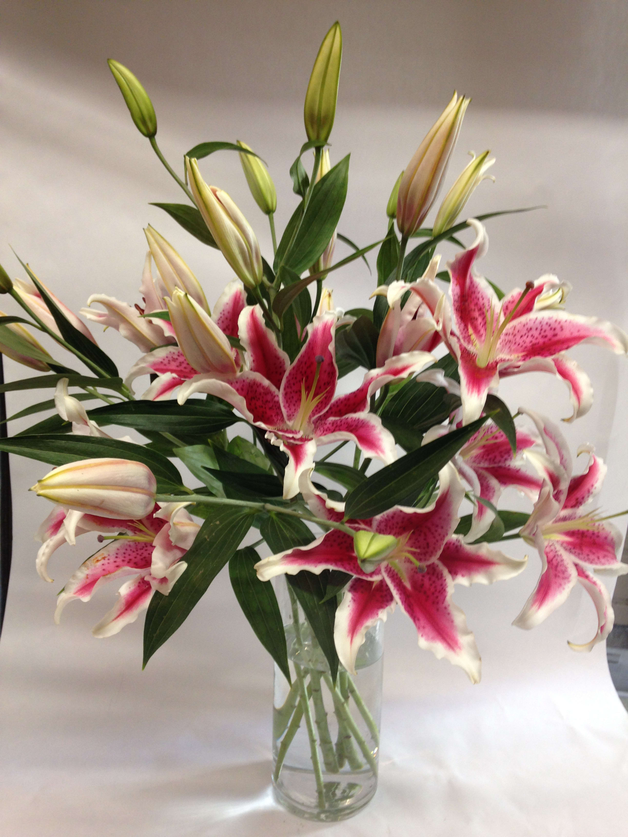 Pink stargazer lilies in a clear glass vase