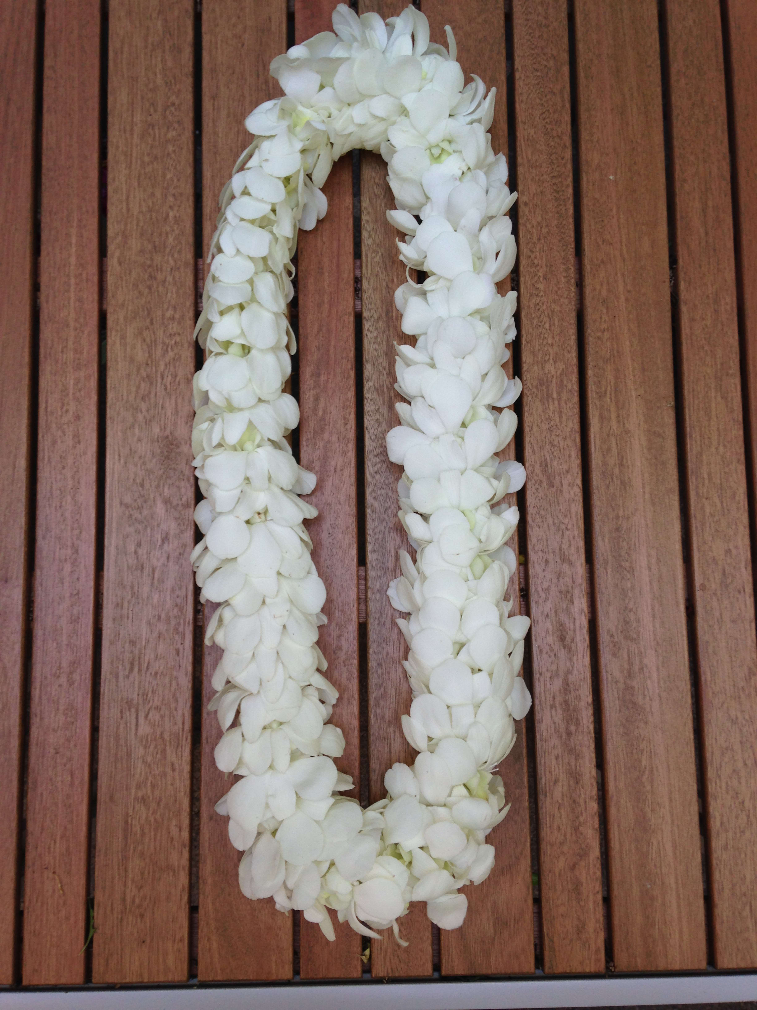 White flower lei arranged in a loop on a wooden surface