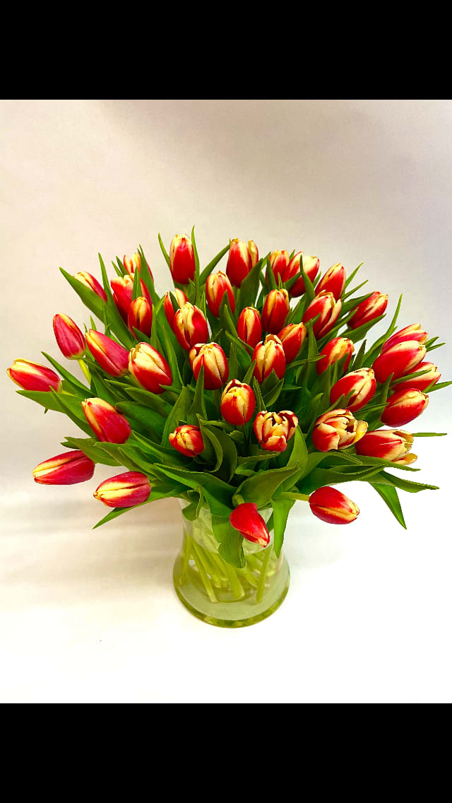 Red and yellow tulips arranged in a clear glass vase