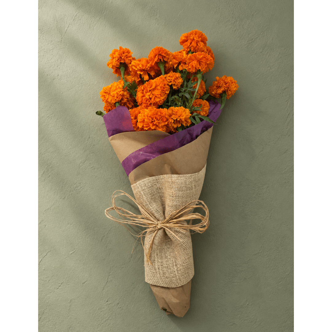 Bouquet of orange marigolds wrapped in brown paper with purple trim