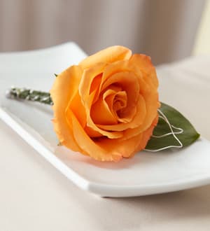 Orange rose boutonniere on a white plate