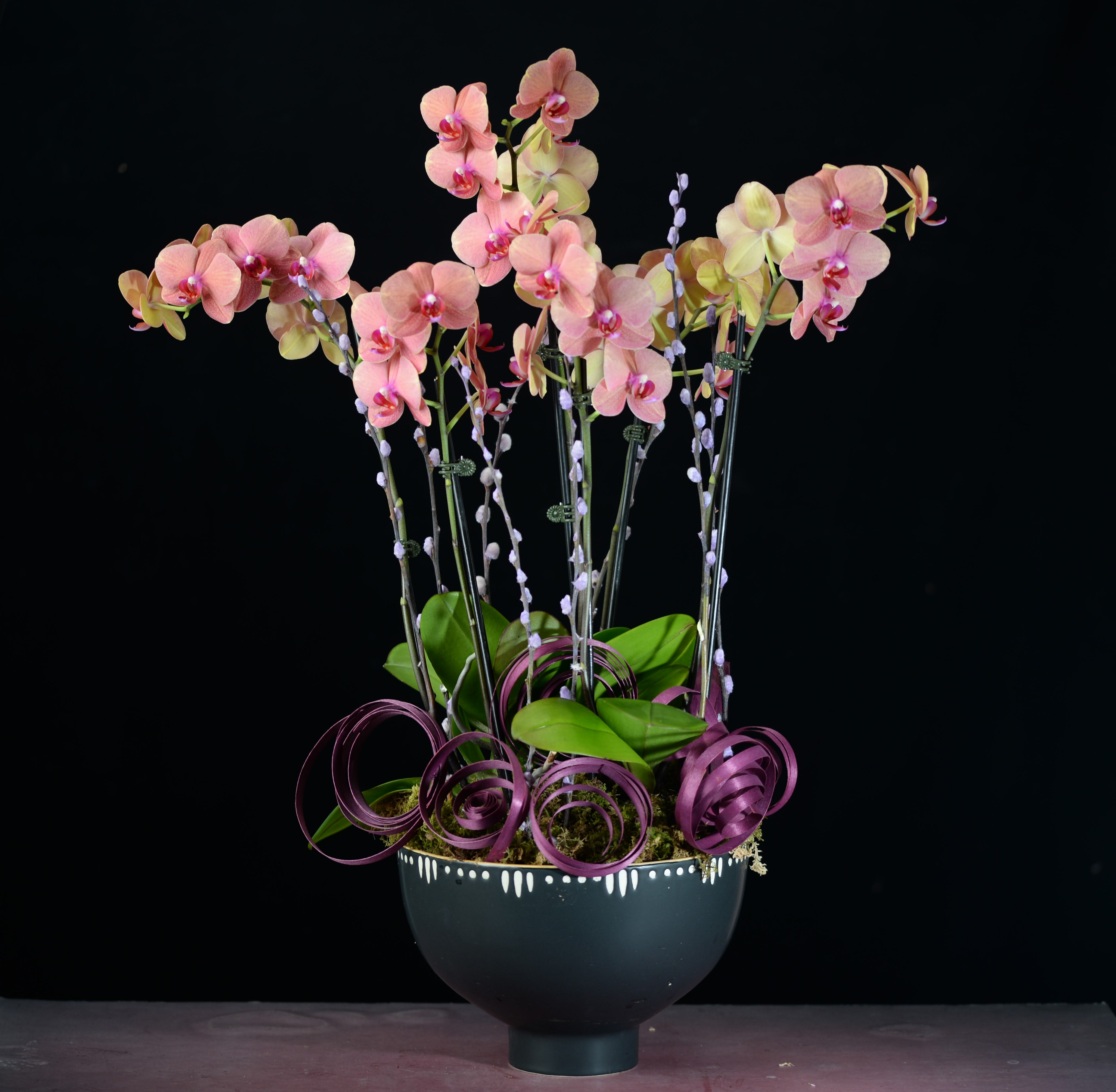 Pink orchid arrangement in a black vase with purple ribbon curls