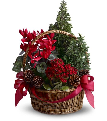 Basket of red flowers and evergreen plants with pinecones and ribbon