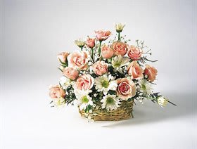 Basket of peach roses and white daisies