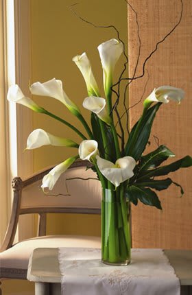 White calla lilies in a clear glass vase
