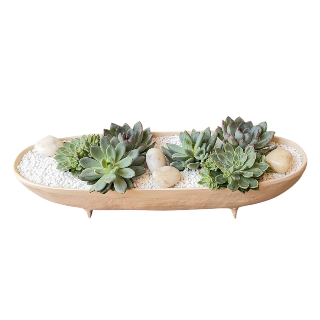 Succulent arrangement in a shallow oval planter with white stones
