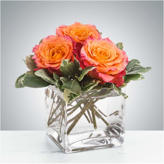 Petite Sunset by BloomNation™ - A petite 3 rose gift is a perfect little "thinking of you" arrangement. Spirit roses are so beautiful on their own, they don't need much else to leave an impact.  Approximate Dimensions: 5"D x 5"H