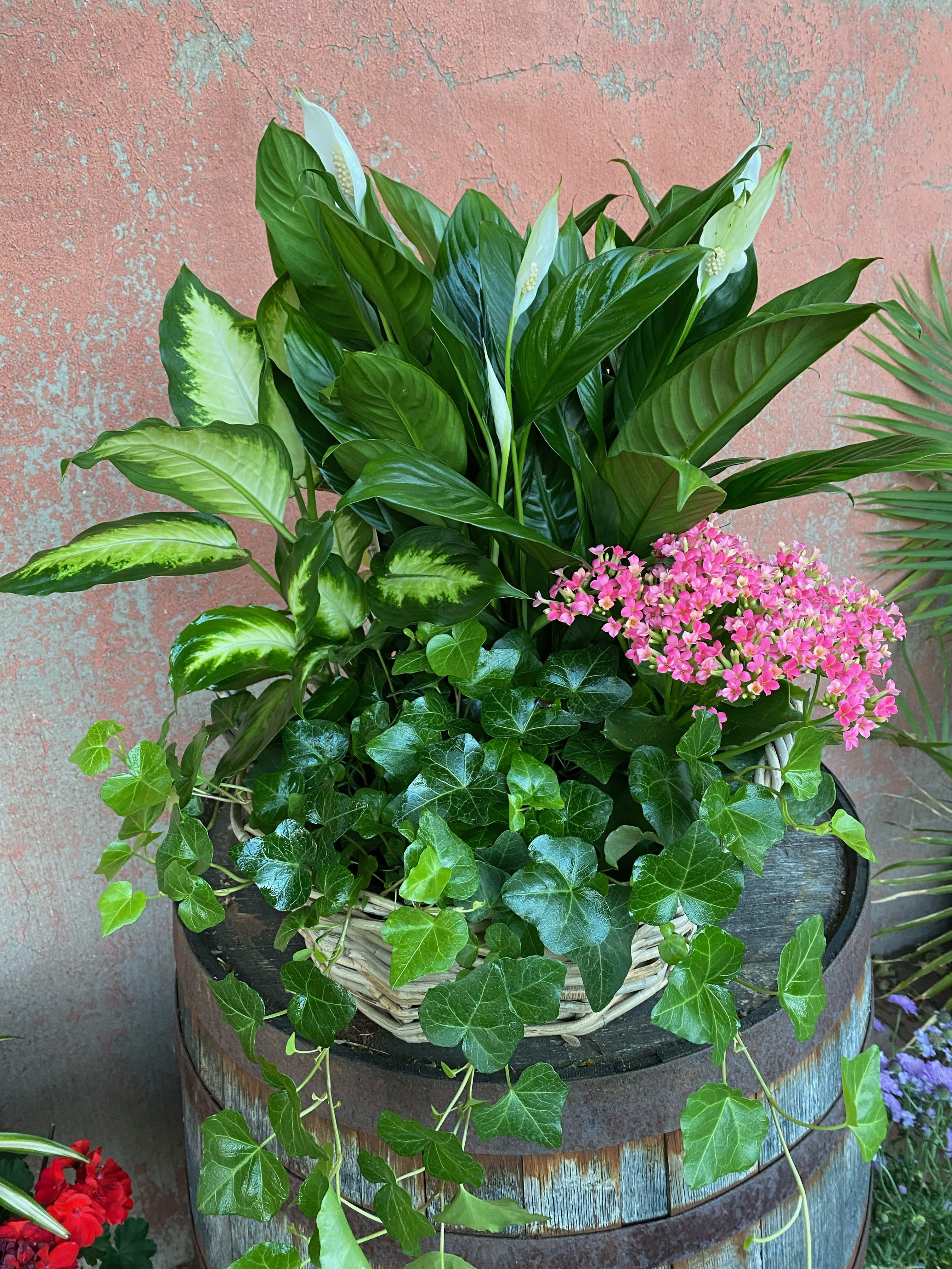 Mixed potted plants with white peace lilies and pink flowers in a wicker basket.
