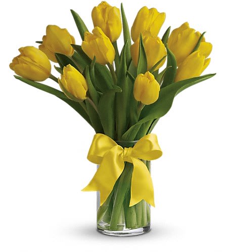 Yellow tulips in a clear glass vase with a yellow ribbon