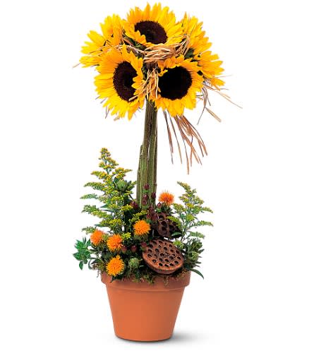 Sunflower arrangement in a terracotta pot with lotus pods and orange accents
