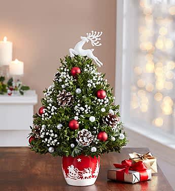 Santa’s Sleigh Ride™ Holiday Flower Tree® -  Product ID: 147272   EXCLUSIVE For Christmas 2016, 1-800-Flowers.com is pleased to introduce an exclusive keepsake version of our customer favorite Holiday Flower Tree! The crisp and cheerful tree is adorned with red ornament balls and frosted pinecones, strung with cream-colored pearls, and topped with a glittering reindeer in flight. The tree rises from our charming, nostalgic ceramic container depicting Santa’s ride through a rustic village on a starry Christmas Eve. Distinguished floral designer Elisabeth Stanley Jones of Savannah, Georgia, created a truly original, truly delightful Christmas tree with all the trimmings, a gift that will deliver genuine joy for a merry and bright holiday.      Our florists select the freshest flowers available, so colors and varieties may vary due to local availability     Tree-shaped arrangement of red roses, mini carnations, cushion poms, fresh and fragrant mixed greenery, gypsophila and boxwood, artistically designed by our expert florists     Features red ornament balls, a string of cream-colored “pearl” ornaments, frosted pinecones and a keepsake glittered reindeer ornament that comes with a string so that it can be hung from any Christmas tree     Tree is “planted” in our exclusive keepsake “Santa’s Sleigh Ride”™ ceramic container, featuring an embossed white Christmas Eve silhouette scene on a red background; measures 4.75"H x 5.25"D     Extra large arrangement measures approximately 23"H x 15"L     Large arrangement measures approximately 21"H x 14"L     Medium arrangement measures approximately 19"H x 12"L     Small arrangement is made of boxwood and gypsophila only and measures approximately 17"H x 12"L     Created at the 1-800-Flowers.com Design Council, a seasonal collaboration of floral designers invited to work together to make new, truly original arrangements exclusively for us     The exclusive 1-800-Flowers.com Santa’s Sleigh Ride™ collection also includes Santa’s Sleigh Ride™ Arrangement and Santa’s Sleigh Ride™ Centerpiece 