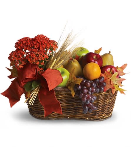 Fruit basket with apples, grapes, and a red bow