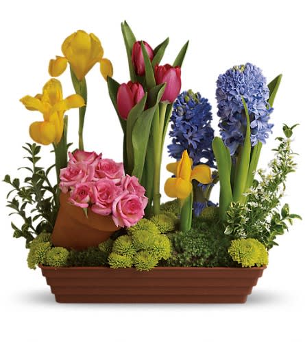 Mixed bouquet with pink roses, tulips, yellow irises, and blue hyacinths in a rectangular planter