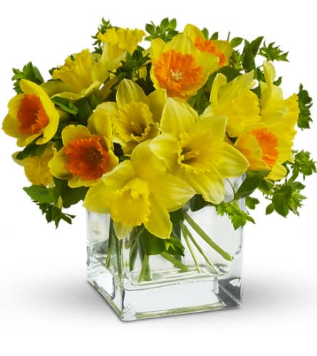 Yellow daffodil bouquet in a clear square glass vase
