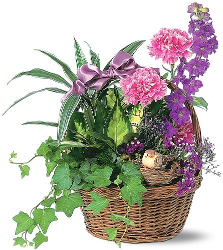 Basket arrangement with pink carnations, purple flowers, and a satin bow