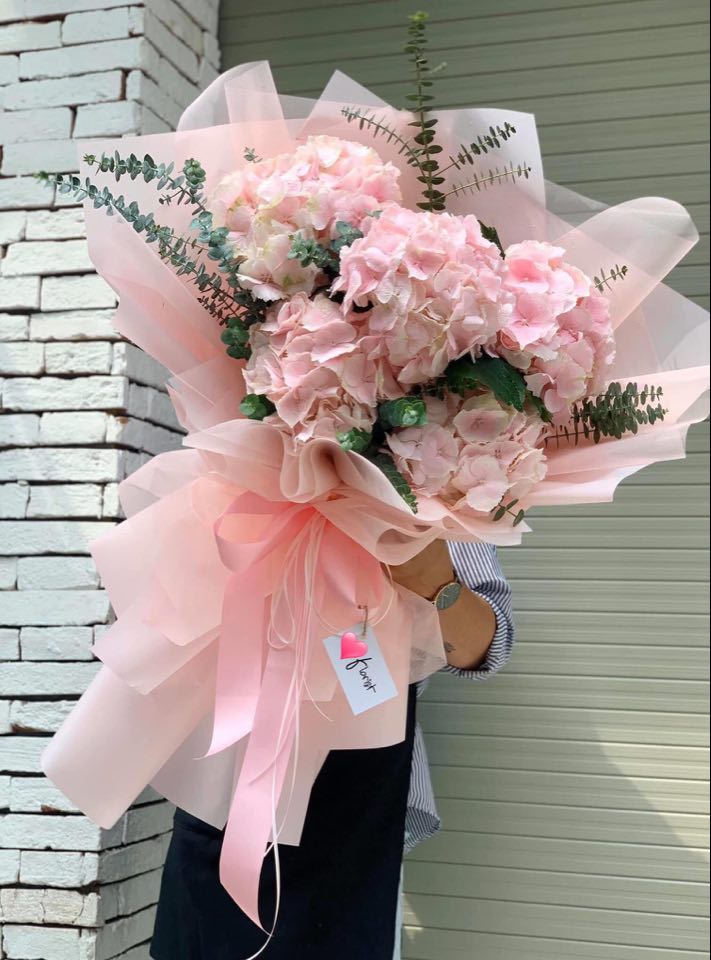 Large bouquet of pale pink hydrangeas wrapped in pink paper