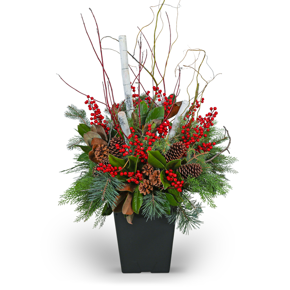 Winter Porch Pot - Elevate your outdoor decor with our Winter Porch Pot, brimming with evergreen, cedar, and other winter foliage interwoven with vibrant red berries, pine cones, and assorted branches. This festive and fragrant arrangement is the perfect way to infuse your porch or entryway with the enchanting spirit of the holiday season.