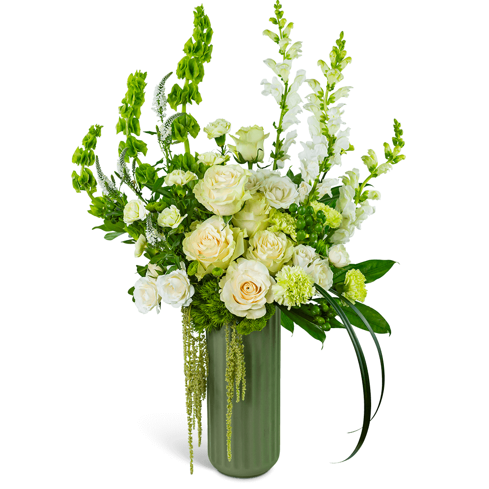 White roses and green snapdragons in a tall vase