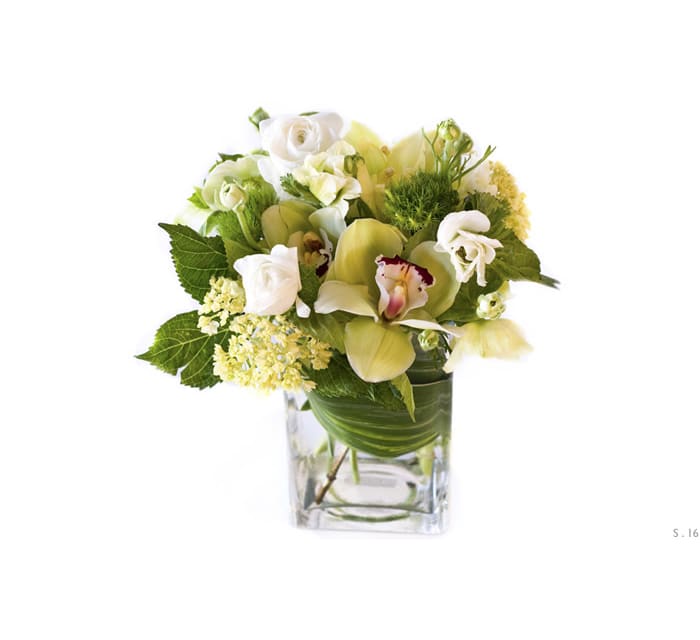 Compact arrangement of green orchids and white roses in a clear glass cube vase.